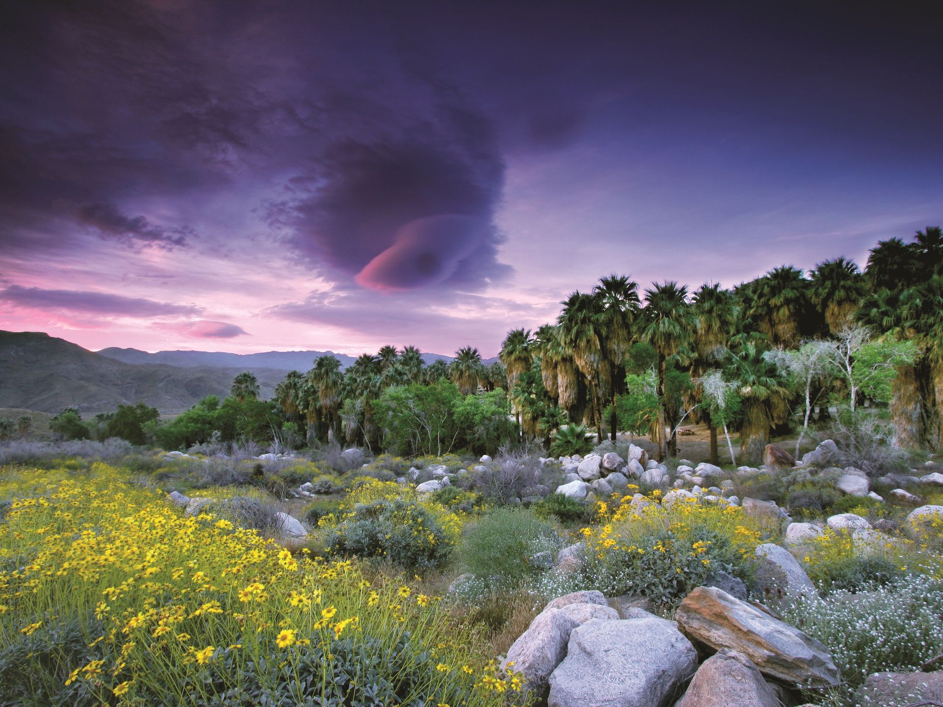 Indian Canyons, Palm Springs